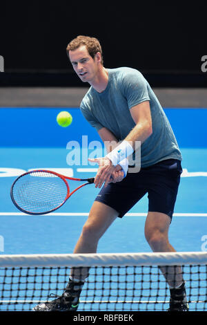 Melbourne, Australien. 10 Jan, 2019. Andy Murray in Aktion in eine Praxis Spiel gegen die Nummer 1 Samen Novak Djokovic auf Margaret Court Arena vor den Australian Open 2019 Grand Slam Tennis Turnier in Melbourne, Australien. Sydney Low/Cal Sport Media/Alamy leben Nachrichten Stockfoto