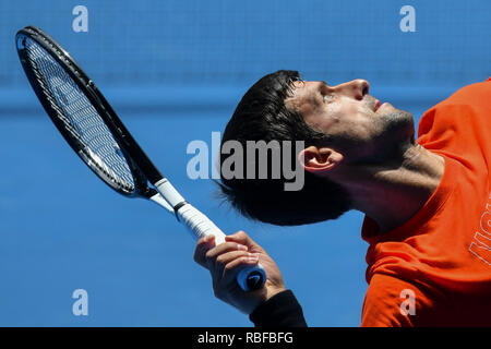 Melbourne, Australien. 10 Jan, 2019. Nummer 1 Samen Novak Djokovic in Aktion in eine Praxis Match gegen Andy Murray auf Margaret Court Arena vor den Australian Open 2019 Grand Slam Tennis Turnier in Melbourne, Australien. Sydney Low/Cal Sport Media/Alamy leben Nachrichten Stockfoto