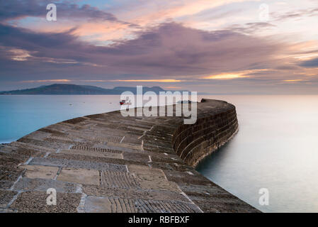 Lyme Regis, Dorset, Großbritannien. 10 Jan, 2019. UK Wetter: Kalt start in den Tag als Verdickung Wolke im Himmel Rollen in über der Cobb Hafen in Lyme Regis in Dorset bei Sonnenaufgang. Foto: Graham Jagd-/Alamy leben Nachrichten Stockfoto