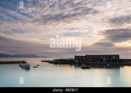 Lyme Regis, Dorset, Großbritannien. 10 Jan, 2019. UK Wetter: Kalt start in den Tag als Verdickung Wolke im Himmel Rollen in über der Cobb Hafen in Lyme Regis in Dorset bei Sonnenaufgang. Foto: Graham Jagd-/Alamy leben Nachrichten Stockfoto