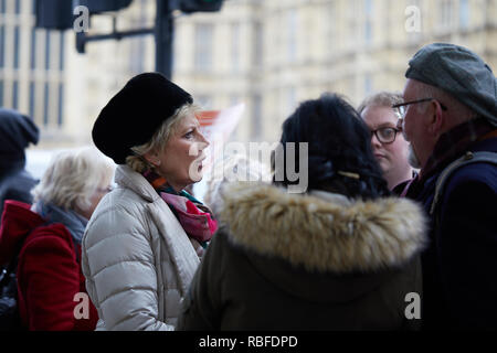 London, Großbritannien. 10 Jan, 2019. Der konservative Abgeordnete Anna Soubry Aktien eine Diskussion mit Anhängern Verlassen außerhalb des Parlaments. Credit: Kevin J. Frost-/Alamy leben Nachrichten Stockfoto