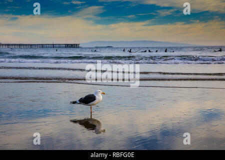 Venice Beach, Los Angeles, USA. 9. Jan 2019. Venice Beach, Los Angeles Credit: Oliver Dixon/Alamy leben Nachrichten Stockfoto