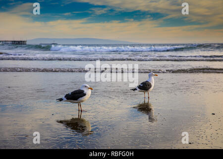 Venice Beach, Los Angeles, USA. 9. Jan 2019. Venice Beach, Los Angeles Credit: Oliver Dixon/Alamy leben Nachrichten Stockfoto
