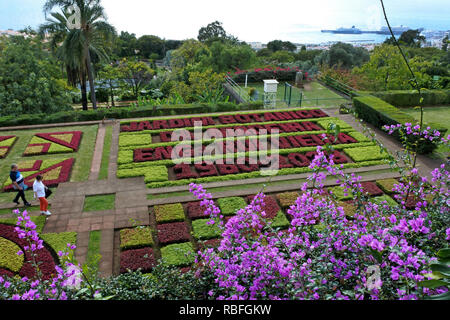 Funchal, Portugal. 20 Nov, 2018. Eine Blume Mosaik in den Botanischen Garten, Jardim Botnico da Madeira, Funchal auf der portugiesischen Insel Madeira. Quelle: Holger Hollemann/dpa/Alamy leben Nachrichten Stockfoto