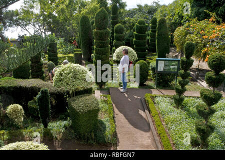 Funchal, Portugal. 20 Nov, 2018. Ein Besucher geht in den Botanischen Garten, Jardim Botnico da Madeira, Funchal auf der portugiesischen Insel Madeira. Quelle: Holger Hollemann/dpa/Alamy leben Nachrichten Stockfoto