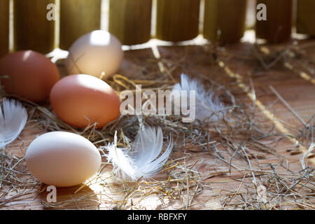 Bio ökologische Eier im Hühnerstall am Morgen Ostern Frühling abstrakt Hintergrund Stockfoto