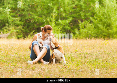 Attraktiven weiblichen Tiere sitzen in einem Sommer Feld mit weißen Katze auf die Knie und küsste beagle Hund in seiner Nase. Grünen Wald auf einem Hintergrund. Stockfoto