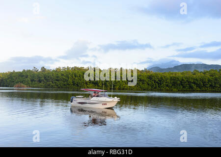 Bootsfahrt auf dem Daintree River, Daintree Nationalpark und feuchten Tropen, Far North Queensland, FNQ, QLD, Australien Stockfoto