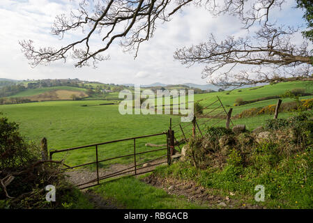 Ein sonniger Frühlingstag in der walisischen Landschaft in der Nähe von Conwy. Stockfoto