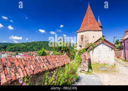 Sighisoara, Siebenbürgen. Berühmte mittelalterliche Stadt von Sachsen in Rumänien gebaut. Stockfoto