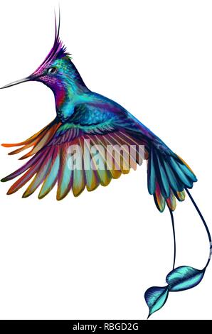 Hummingbird von einem Splash von Aquarell, handgezeichnete Skizze Stock Vektor