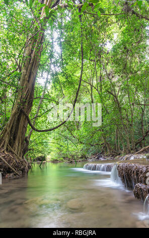 Huai Mae Kamin Wasserfall Srinakarin Damm in Kanchanaburi, Thailand. Stockfoto