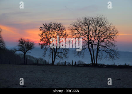 Am frühen Morgen Sonnenaufgang am Fürstenberg auf dem Hügel in Oxfordshire Stockfoto