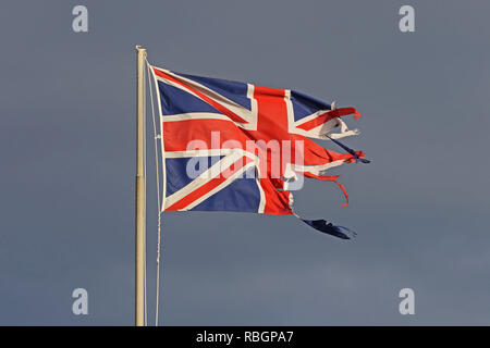 Britische Flagge oder Union Jack zerrissenen und zerfetzten Fliegen im Winter am Meer in Italien, die die Katastrophe von Brexit Stockfoto