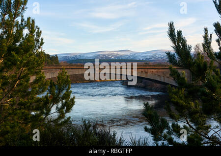 Die neue Spey Brücke über den River Spey, Grantown on Spey, Schottland Stockfoto