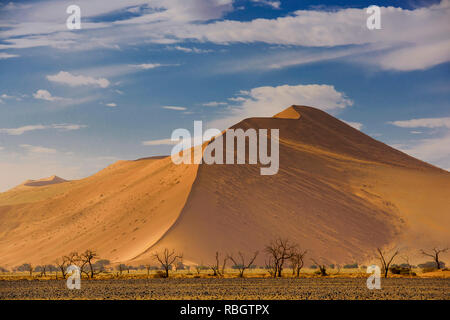 Sossusvlei Salzpfanne mit hohen roten Sanddünen in der Namib Wüste, Namibia, Afrika. Stockfoto