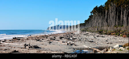 Um Neuseeland - einem Windgepeitschten Bruce Bay - Panorama Stockfoto