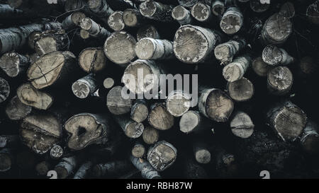 Ein Haufen von Protokollen, die von einem Wald nach coppicing der lokalen eco System zu helfen Stockfoto
