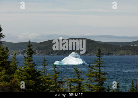 St. Anthony, Neufundland, Kanada - Juli 24, 2018: Ein Eisberg in St. Anthony Bight an der Labradorsee im nördlichen Bereich von Neufundland. Stockfoto