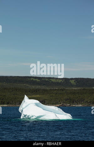 St. Anthony, Neufundland, Kanada - Juli 24, 2018: Ein Eisberg in St. Anthony Bight an der Labradorsee im nördlichen Bereich von Neufundland. Stockfoto