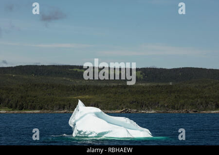 St. Anthony, Neufundland, Kanada - Juli 24, 2018: Ein Eisberg in St. Anthony Bight an der Labradorsee im nördlichen Bereich von Neufundland. Stockfoto