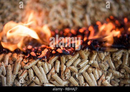 Verbrennung von Pellets - aok Holz- Biomasse in Flammen Stockfoto