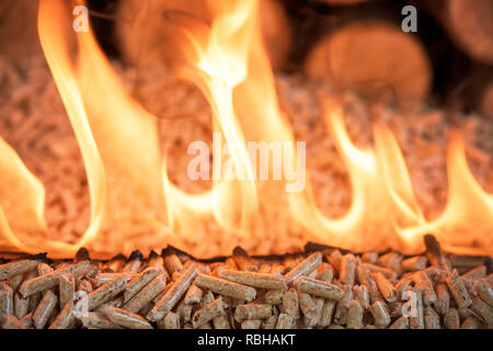 Verbrennung von Pellets - Eiche Holz- Biomasse in Flammen Stockfoto