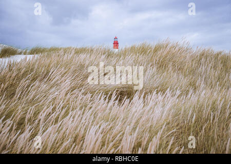 Sea Grass Dünen mit Leuchtturm oben in der Nordsee. Stockfoto