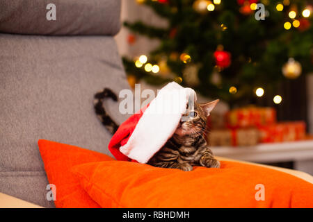 Süße bengal Kitten der santa claus Han auf dem Kissen über die Weihnachtsbeleuchtung Stockfoto