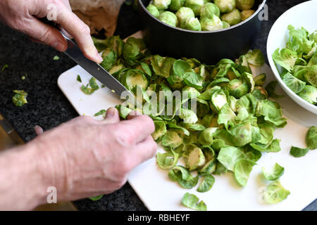 Zubereitung Rosenkohl zum Kochen Stockfoto