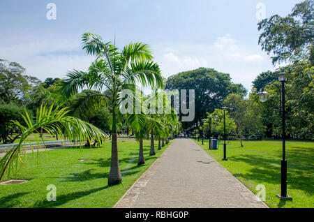 Die viharamahadevi Park der Stadt Colombo in Sri Lanka Stockfoto