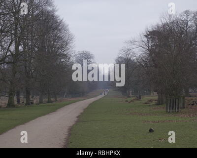 Foto von Dunham Massey Park Stockfoto