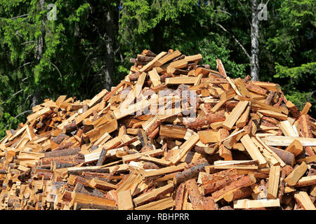 Haufen gehackt und halbiert Brennholz am Waldrand im Sommer gespeichert. Stockfoto
