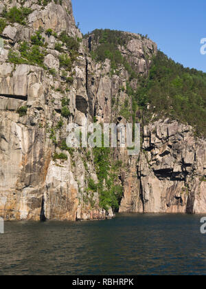 Einen Tag Fjord Cruise in Lysefjorden östlich von Stavanger Norwegen, gewagte Bäume und steilen und schroffen Berghängen direkt in die Fjord Stockfoto