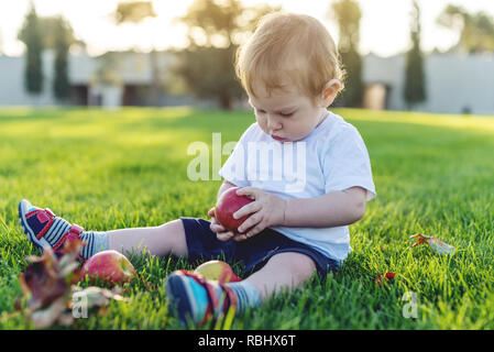 Cute Baby spielt mit Äpfeln auf einem grünen Rasen in der Natur an einem sonnigen Tag. Das Konzept ein Jahr alten Kind Stockfoto
