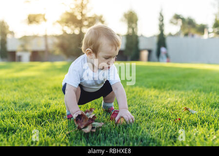 Cute Baby spielt mit Äpfeln auf der grünen Wiese im Park. Das Konzept ein Jahr alten Kind Stockfoto