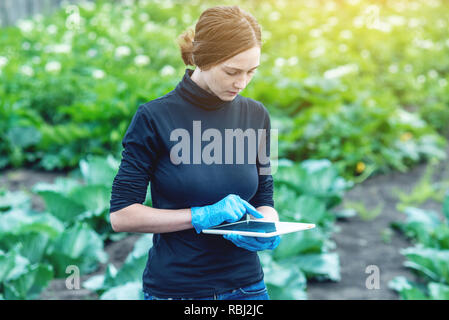 Frau Ingenieur Agronom Holding eine Tablette. Das Konzept der landwirtschaftlichen Betriebe und der Qualitätskontrolle Stockfoto
