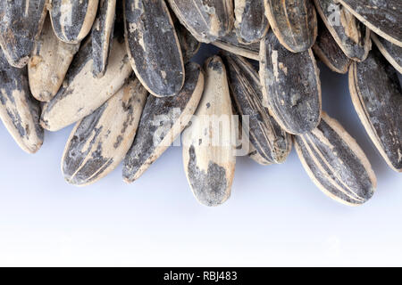 Viele Sonnenblumenkerne geröstet Mit Salz isoliert auf Weiss. Stockfoto