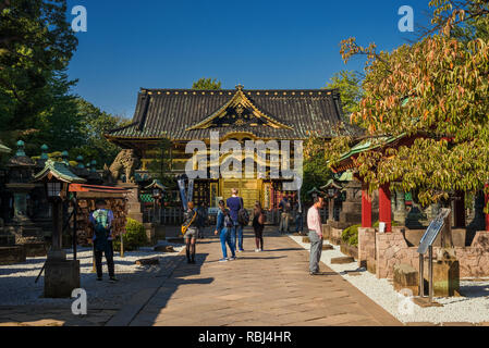 Touristen besuchen die alte Tosho-gu Shinto Schrein im Ueno Park in Tokio, ein großartiges Beispiel der religiösen Architektur in der Edo Periode Stockfoto