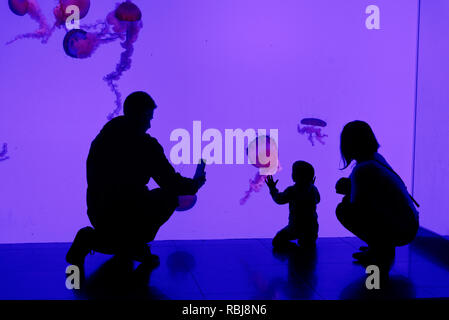 Eine Familie in Ripley's Aquarium von Kanada, Toronto, Ontario Stockfoto