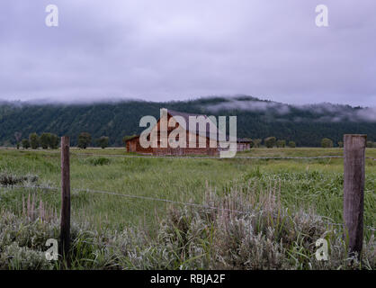 Alte Bar im Feld hinter Stacheldraht in Teton Wilderness Stockfoto