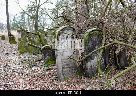 Der alte jüdische Friedhof, matzevah, Grabsteine im Winter. Piotrkow Trybunalski - Stadt des ersten jüdischen Ghettos von Nazi-Deutsche in Polen gegründet. Stockfoto