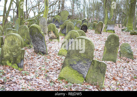 Der alte jüdische Friedhof, matzevah, Grabsteine im Winter. Piotrkow Trybunalski - Stadt des ersten jüdischen Ghettos von Nazi-Deutsche in Polen gegründet. Stockfoto