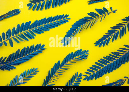 Blatt, Blätter Textur auf gelben Hintergrund. Natur tropischen Konzept. top View Stockfoto