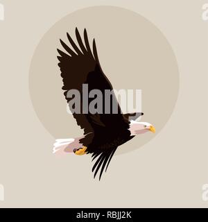 Bald eagle Bird flying Vector Illustration Design Stock Vektor