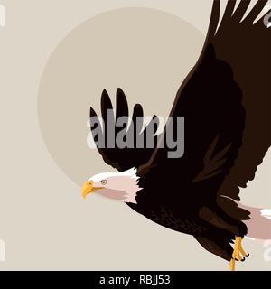 Bald eagle Bird flying Vector Illustration Design Stock Vektor