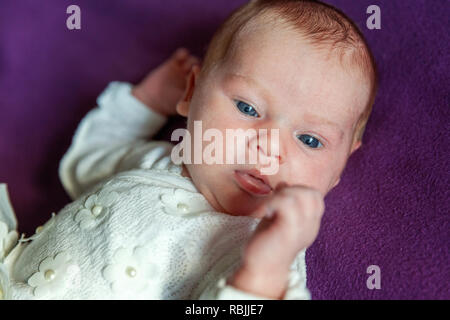 Soft Portrait von friedlichen Süßes neugeborenes Baby liegend auf Bett beim Schlafen in lila Decke Hintergrund. Sweet Dream, gute Nacht. Mutterschaft Famil Stockfoto