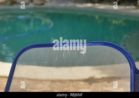 Pool Blatt Schaufel mit home Schwimmbad im Hintergrund Stockfoto