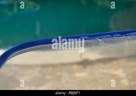 Pool Blatt Schaufel mit home Schwimmbad im Hintergrund Stockfoto