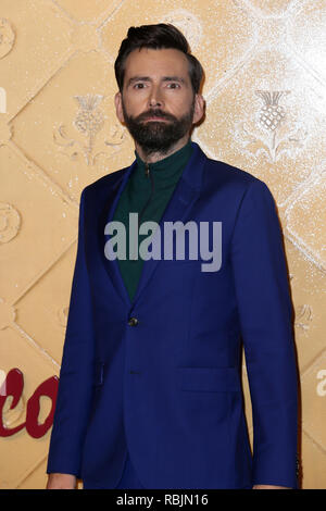 Die Weltpremiere von "Mary Queen of Scots", gehalten an der Cineworld Leicester Square - Ankunft mit: David Tennant Wo: London, Großbritannien Wann: 10 Dec 2018 Credit: Mario Mitsis/WENN.com Stockfoto